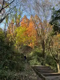 週末出遊|安徽齊雲山