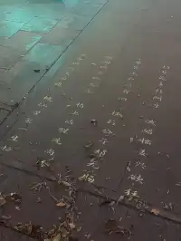 這麼近那麼美 週末真的到河北!