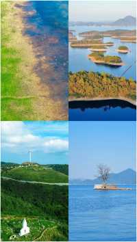 剛從永修回來,說一些難聽的大實話