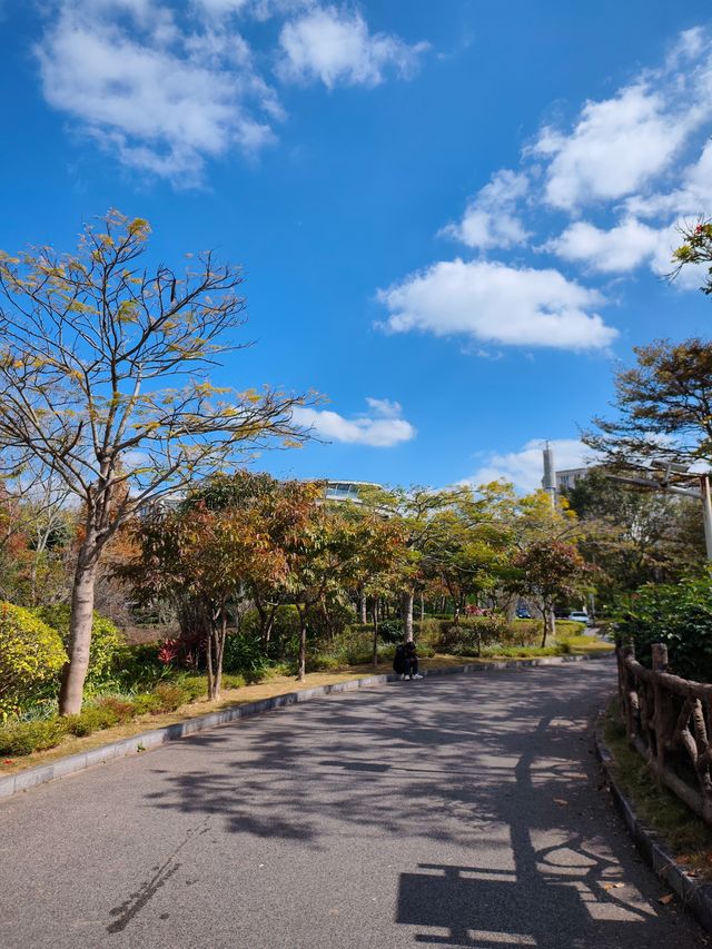 普洱小眾打卡地闖入熱帶雨林的秋日祕境 普洱小眾打卡地闖入熱帶雨林的秋日祕境