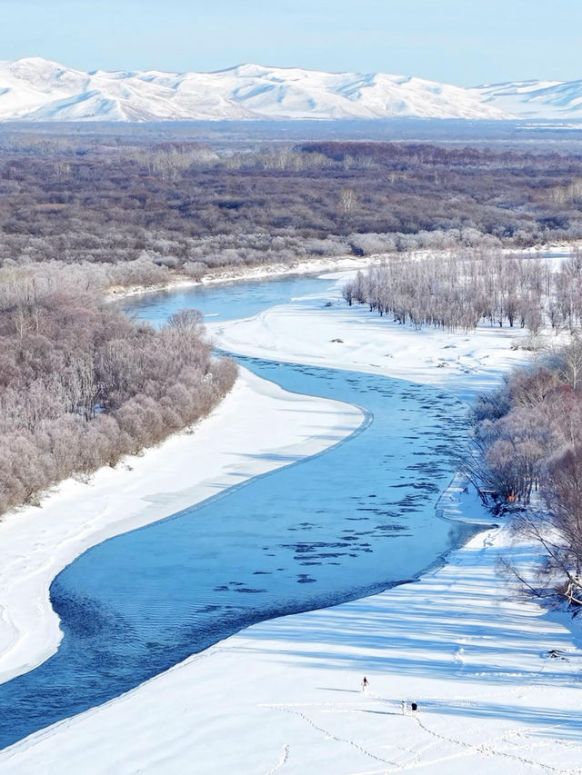 用18張Live打開呼倫貝爾的冬天!封神了! 用18張Live打開呼倫貝爾的冬天!封神了!