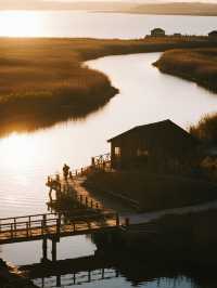 上海最近的「海上日出」!崇明東灘騎行觀鳥全攻略