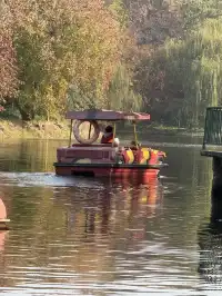 這風景好美,真的好想讓所有人🫘看到