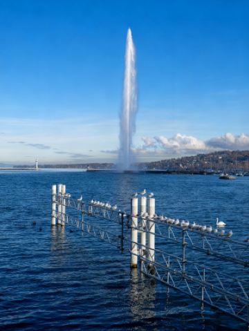 獨家私藏！日內瓦湖3大免票福利+人少湖景