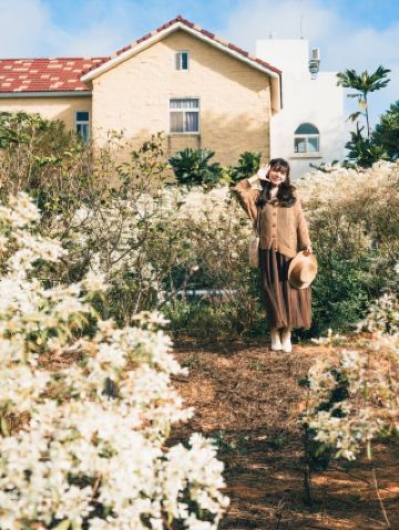 Taichung Must-Visit! Super Romantic European-Style Rose Manor Open for a Limited Time