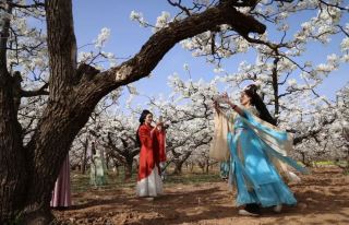 Weixian Pear Township Water City May Day Festival
