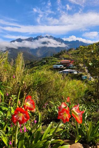 Kinabalu Private Car One-Day Tour | Watch the Sunrise at Mount Kinabalu at 5 AM