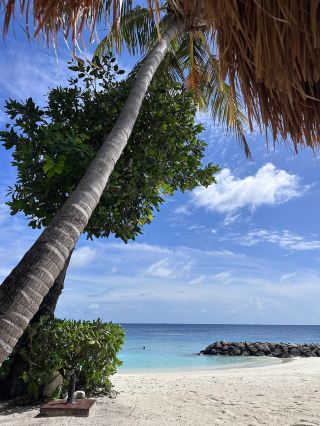 Perfect Honeymoon Experience at Emerald Resort