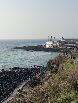 제주도 5일 여행: 산과 바다가 모두 온화하고, 샤오무와 함께해서 다행이야