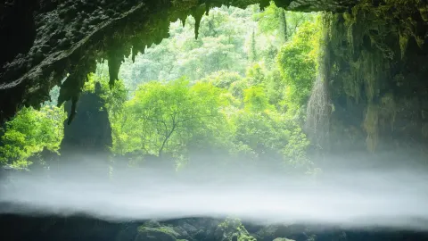 충격적이네요! 이게 바로 앨라배마에서 느끼는 진정한 고립감입니다. — traveler post in 바마