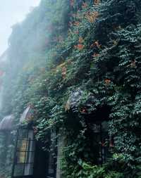 細雨浸潤西大街，讀懂保定古城的舊時光