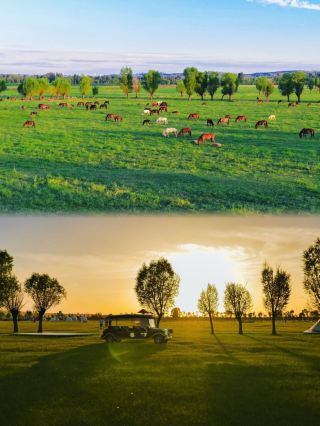 New travel route in Northern Shaanxi: See ancient architecture, explore ruins, grasslands, and a desert sea