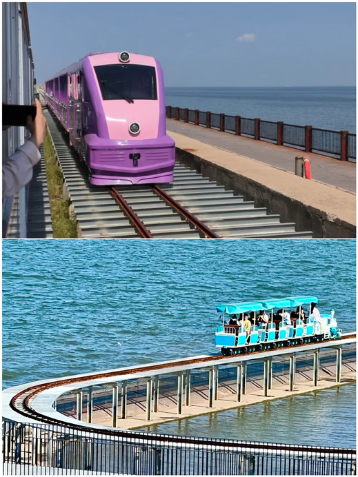 天津の新たな癒やしの海辺｜万寧まで行かなくていい！地元民が教える