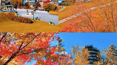 Just back from the Maple Leaf Route, and the sea of red maples is still on my mind. Here’s the honest truth. — traveler post in Ottawa