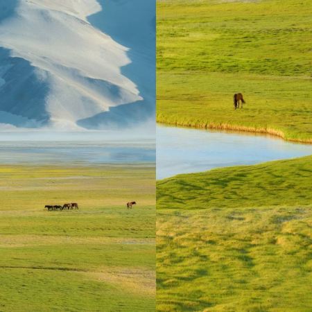 Southern Xinjiang's grasslands | It's not just Northern Xinjiang that has grasslands