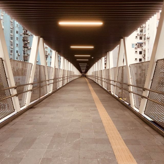 TAIPA PEDESTRIAN OVERPASS BRIDGE