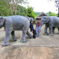 ป่าในเมืองตรัง ประตูสู่อันดามัน