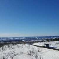 車遊北海道阿寒摩周國立公園