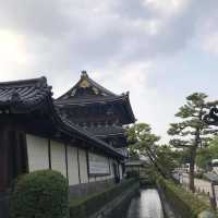 京都東本願寺‼️ 賞楓葉🍁之處