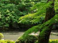 【京都市】静を感じて心洗う庭園🌿