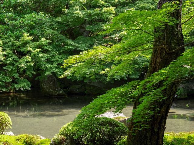 【京都市】静を感じて心洗う庭園🌿