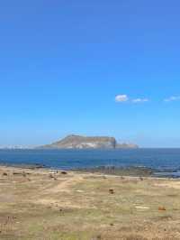 성산일출봉을 한눈에 볼 수 있는 곳, 섭지코지🌿