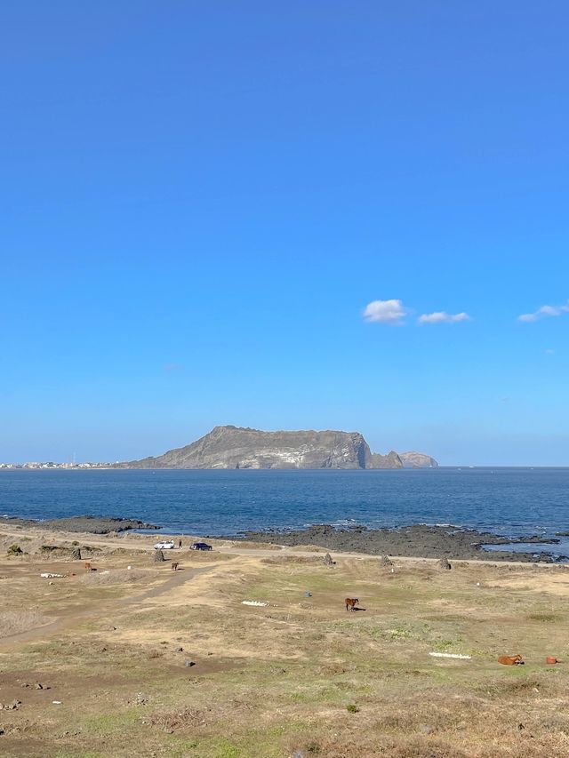 성산일출봉을 한눈에 볼 수 있는 곳, 섭지코지🌿
