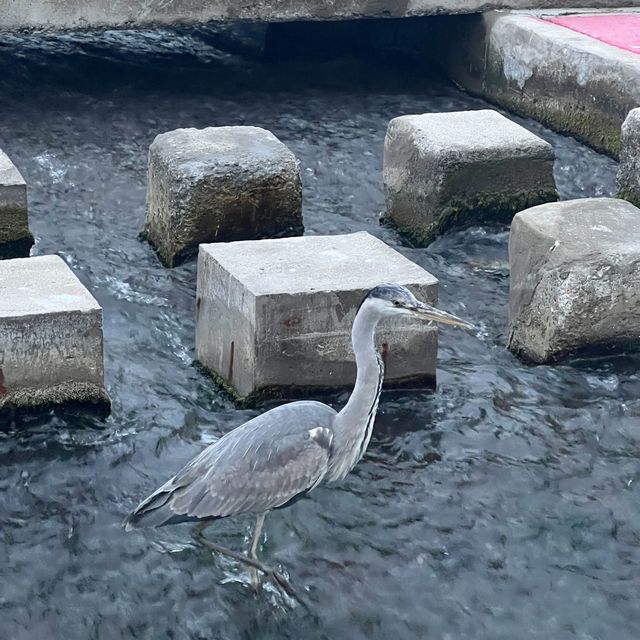 부산 광안리 여행! 풀코스로 친구 대접하기😆