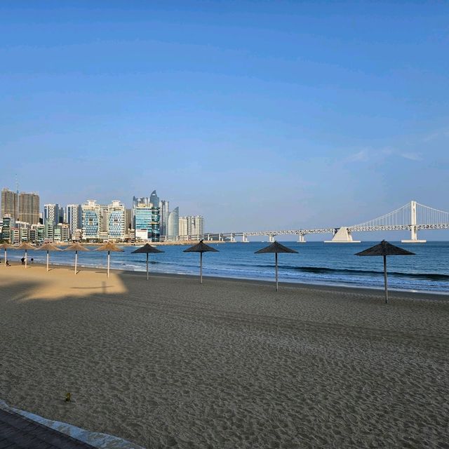 광안리 해변+랜디스도넛 부산 후기🥯