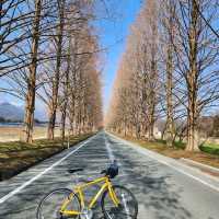 獨遊琵琶湖 , 三日兩夜單車環湖之旅