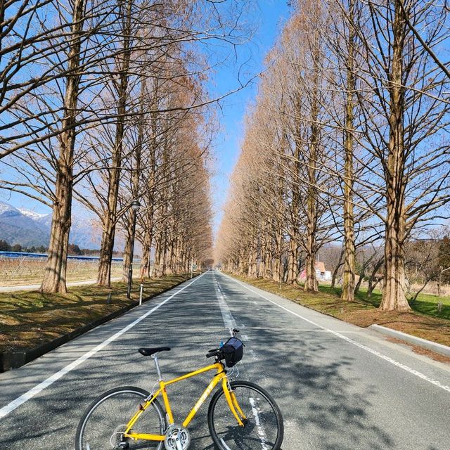 獨遊琵琶湖 , 三日兩夜單車環湖之旅