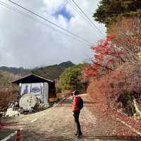 Lovely Autumn escape from busy Seoul !! 