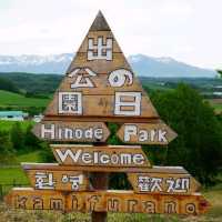 在日之出公園露營