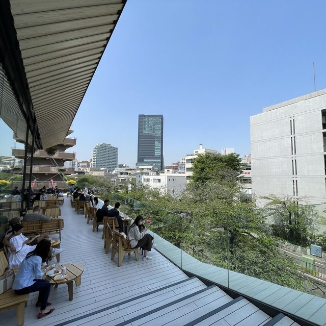 도쿄에서 만날 수 있는 특별한 스타벅스 카페☕️