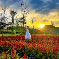 Flowers Village Khaoyai