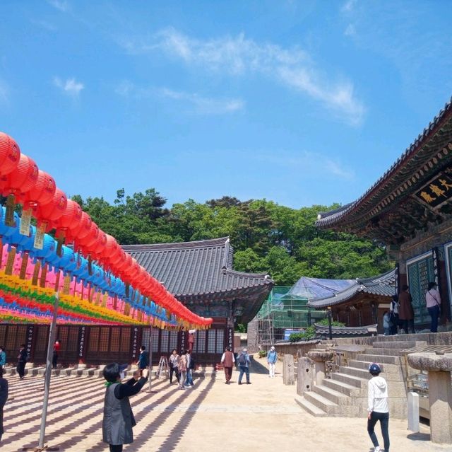 2023년 부처님오신날 맞이 동화사 투어★