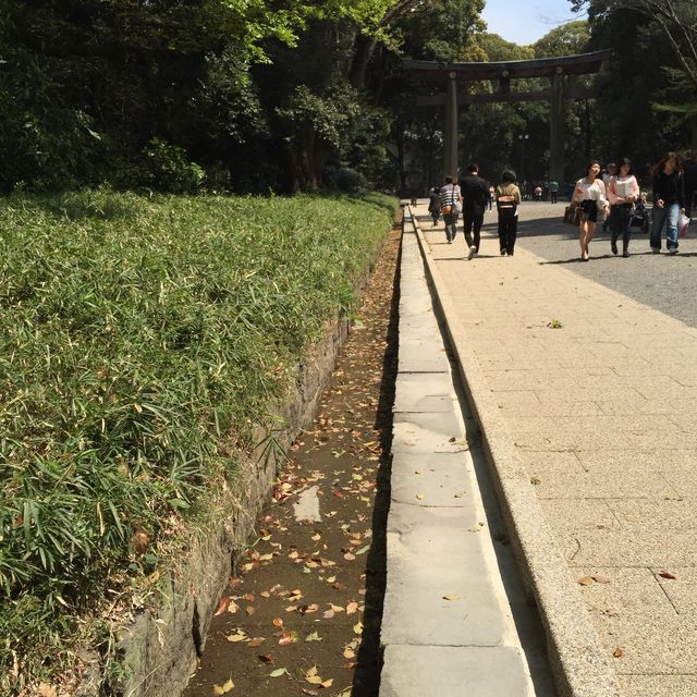 東京市內推薦景點🥰新手必去‼️明治神宮