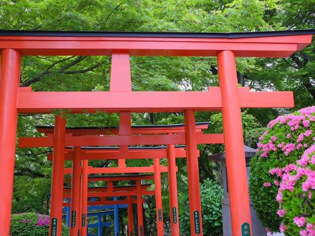 【足利の社寺】（栃木県足利市　旧国名：下野）