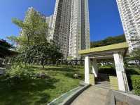 以花崗岩為主題嘅九龍灣彩禧路公園