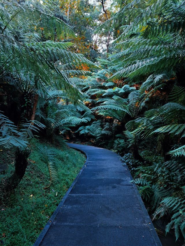 The most authentic botanical gardens yet! 🌳🍃