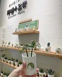 台中住宿推薦 | 逢甲葉綠宿旅館