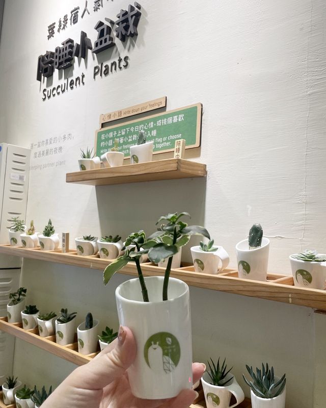 台中住宿推薦 | 逢甲葉綠宿旅館