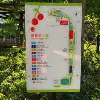 佔地廣闊嘅櫻桃街公園