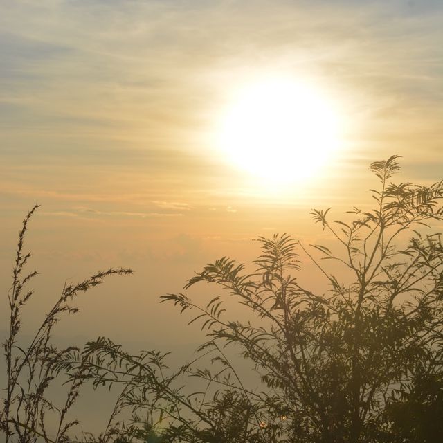 พิชิตยอดเขาหลวง⛰️