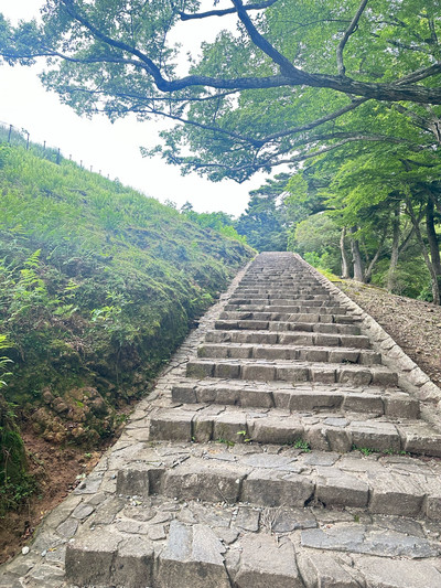 若草山 | 【公式】マイステイズ・ホテル・グループ