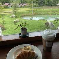 Pai coffee studio 