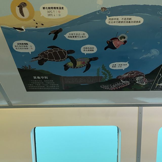 ✨探索拉美半潛艇✨