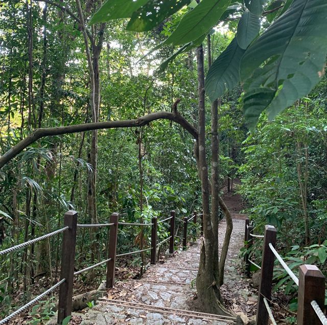 Conquering Heights: Trekking Triumphs
