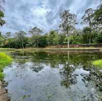 Royal Pond @ The Royal Palace