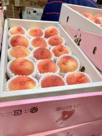 美食博覽掃平貨｜日本美食優惠